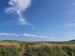 들판 위 용구름