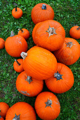 Display of round orange pumpkins at the farmers market in the fall