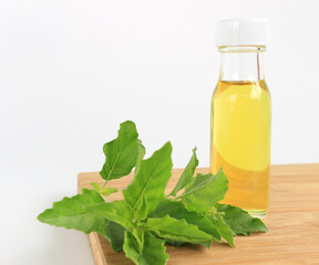 Basil essential oil on white background.aromatherapy and natural medicine.
