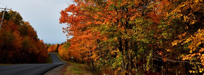 Obraz premium The maple road in autumn, Quebec
