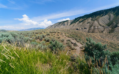 Yellowstone park and mountains in summer, Montana, USA.