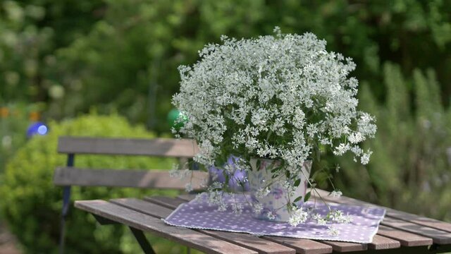 beautiful english style landscape garden with blooming Silverfog &ndash; Euphorbia hypericifolia mooving slowly in the wind  with wooden garden furniture, boxwood plants and colourful flower bed at the back