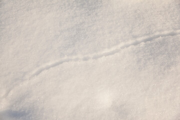 winter background with snow texture closeup