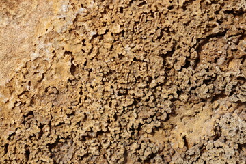 Naklejka premium stone wall texture