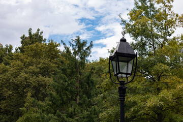 Street Light with Green Trees at Washington Square Park in Greenwich Village of New York City