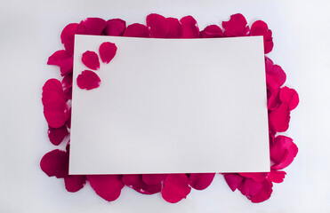 Frames and copy space made out of rose petals