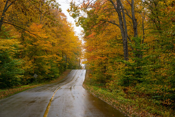 Killbear Provincial Park, a small park with typical Georgian bay landscape: lake Huron, beautiful autumn foliage and rocky outcrop of the Canadian Shield