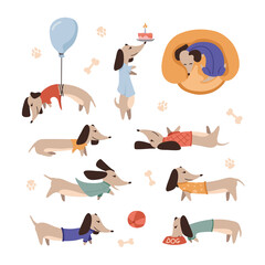 Set of cute Dachshund dogs in flat style. Collection of funny puppy characters on a white background. Clipart with long dogs. Vector illustration