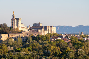Obraz premium Panoramic view on old walls and palace of popes in ancient city Avignon, South of France