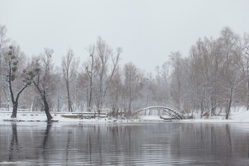 winter landscape with a river, snow-covered coast, small bridge and trees