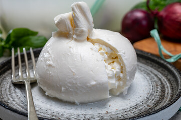 Eating of fresh handmade soft Italian cheese from Puglia, white balls of burrata or burratina cheese made from mozzarella and cream filling