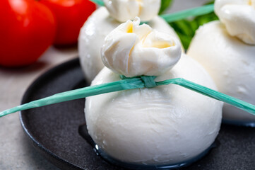 Cheese collection, fresh soft Italian cheese from Puglia, white balls of burrata or burratina cheese made from mozzarella and cream filling