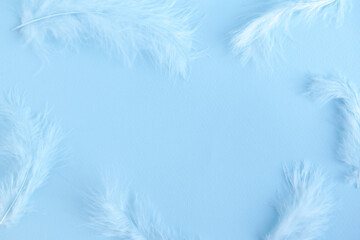 Blue background with blue bird's feathers, copy space