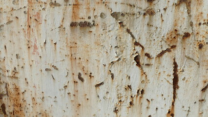 Texture, muro, legno, verde, foglie, metalli