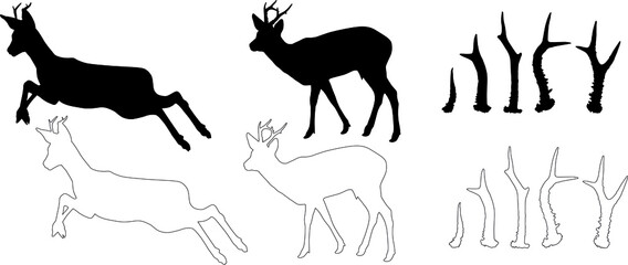 silhouette and outline of Roe deer (Capreolus capreolus), vector on white background