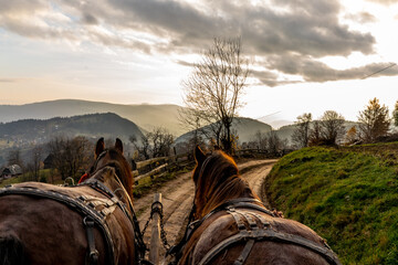 horse carriage in the mountains of Romania