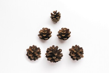 Composition in the form of Christmas tree from pine cones. Christmas and New year concept.