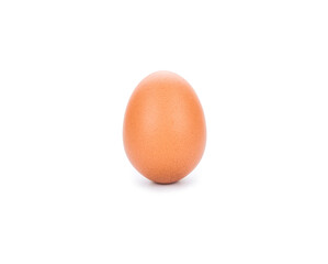 chicken egg on white background