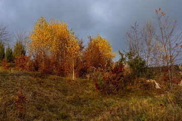 Fototapeta premium picturesque view of the mountains of Romania fall