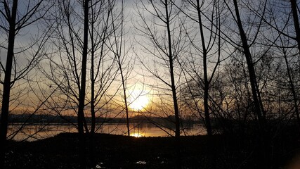 sunset in the forest