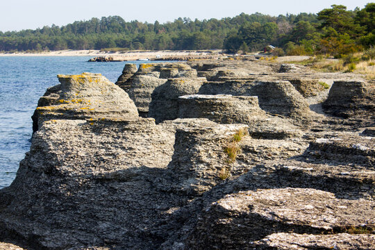 Coastal limestone formations, Byrums raukar on the swedish island Oland, stones close to the sea