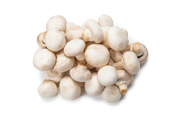 Champignon mushroom isolated on white background.
