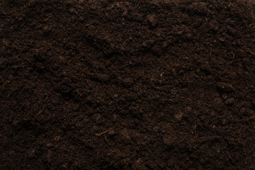 Black land for plant background.