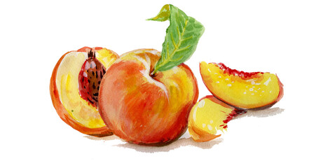 juicy peach painted in watercolor