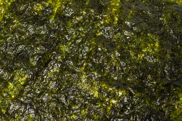 Nori seaweed as a background. Top view.