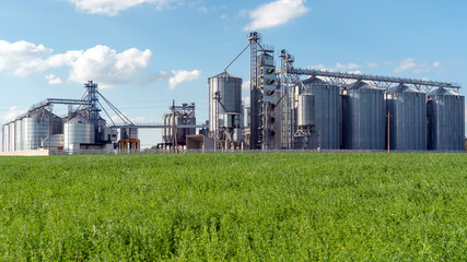 silver silos on agro manufacturing plant for processing drying cleaning and storage of agricultural products, flour, cereals and grain. Large iron barrels of grain. Granary elevator