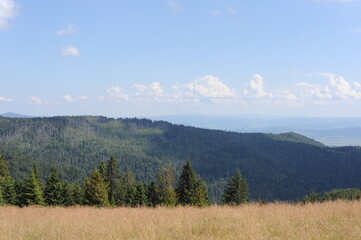 Fototapeta premium Panoramic view on Gorce Mountains in southern Poland in summer with green pine hills and meadows with grass on a sunny day with blue sky and clouds