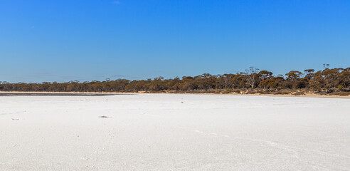 Salt Crust of a dried out salt lake between Epserance and Norseman in Western Australia, view from the shore.