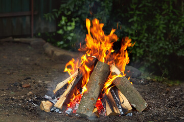 Bonfire of burning trees at night. Large orange flame isolated on black background. Bright, warm, light, camping