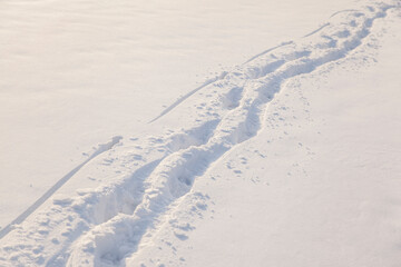 human footprints in the fresh snow