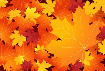 Maple leaves background