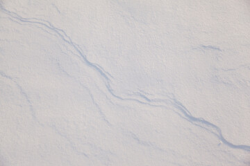 winter background with snow texture closeup