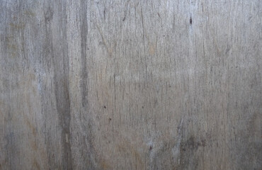 Obraz premium Texture of gray smooth wooden board