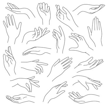 Female hands line. Outline elegant woman hand gestures. Beautiful palm and fingers icons in one line fashion minimalist style, vector set. Illustration hand collection woman, pretty elegant lady arm