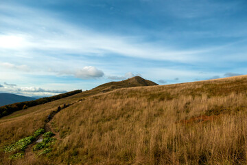 Obraz premium Europe, Poland, Podkarpackie Voivodeship, Bieszczady, Polonina Carynska - Bieszczady National Park. View on Polonina Carynska.