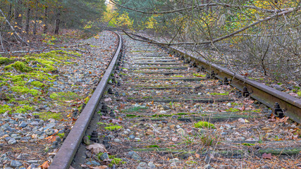 Old Rhine iron railway (IJzeren Rijn) with tree branches on the disused train track, autumn trees, moss on the stones on the ground in the Meinweg nature reserve in Middle Limburg, the Netherlandsg