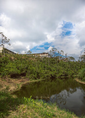 Landscape, lake and vegetation in Sevilla Valle del Cauca Colombia. 