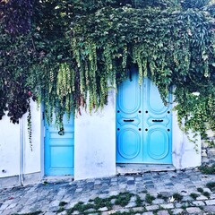 porte bleu d'une maison avec du lierre