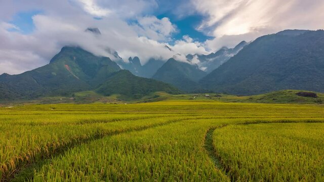 4K Timelapse Terraced rice fields with mount Fansipan in Lao Cai, northern Vietnam
