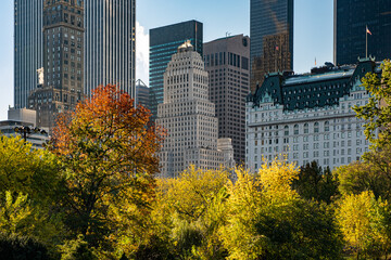 New York City - USA - Oct 31 2020: Beautiful Foliage Colors of New York Central Park