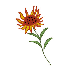 Yellow flower on a white background. Vector hand drawn illustration.