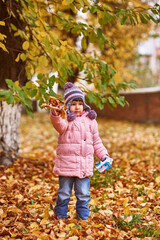 A little girl 4 years old walks in the park autumn yellow leaves very nice. Girl in pink jacket