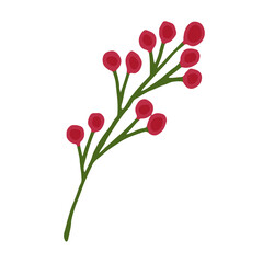 Green branch with red berries on a white background. Freehand drawing vector illustration.