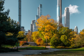 New York City - USA - Oct 31 2020: Beautiful Foliage Colors of New York Central Park