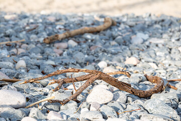 An der Ostsee
