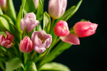 Bouquet of pink tulips